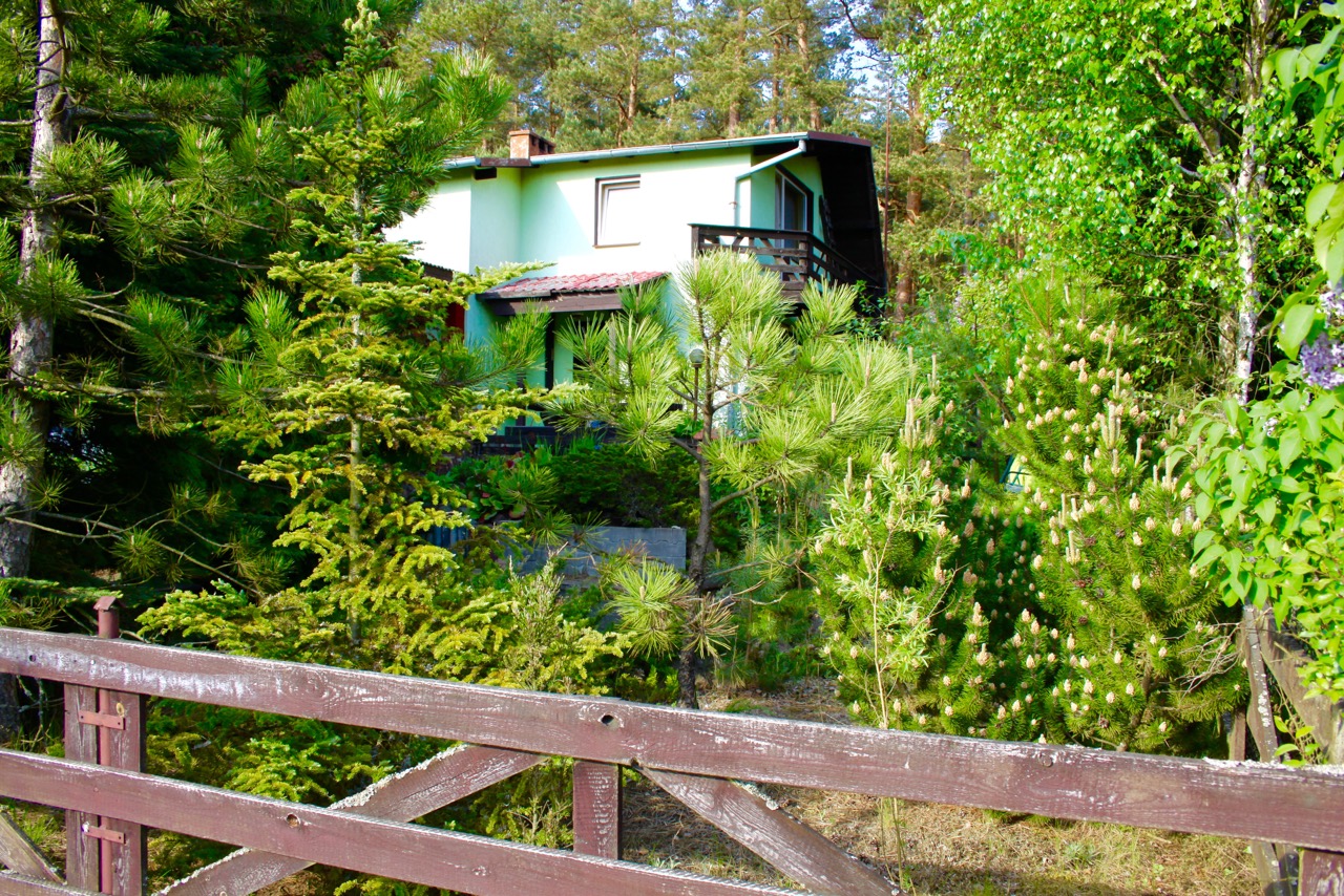 Domek w Borach Tucholskich, m. Mermet, do wynajęcia