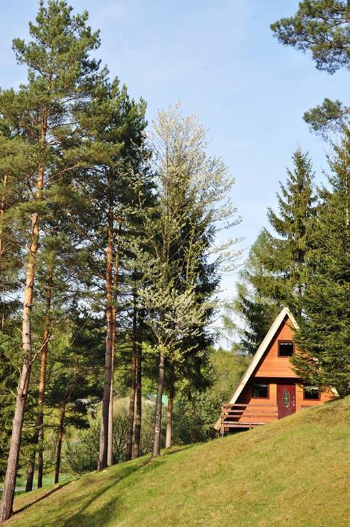 Ośrodek wypoczynkowy Przystań nad Sanem