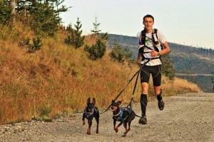 Weekend Dogtrekkera w Wiśle 1-3 lipiec 2016 w hotelu Podium***