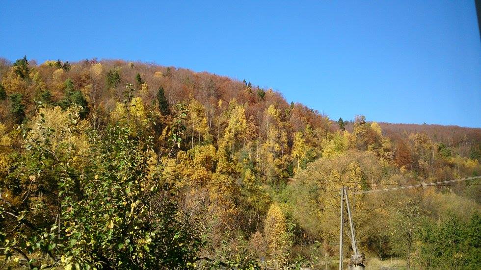 Tanie pokoje,wypoczynek caly rok